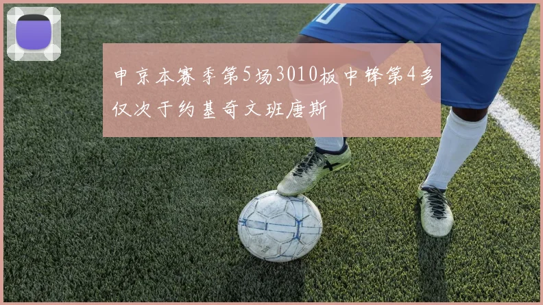 申京本赛季第5场3010板中锋第4多仅次于约基奇文班唐斯